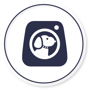 icon-P2P IoT-Pet Cam